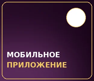 МОБИЛЬНОЕ ПРИЛОЖЕНИЕ